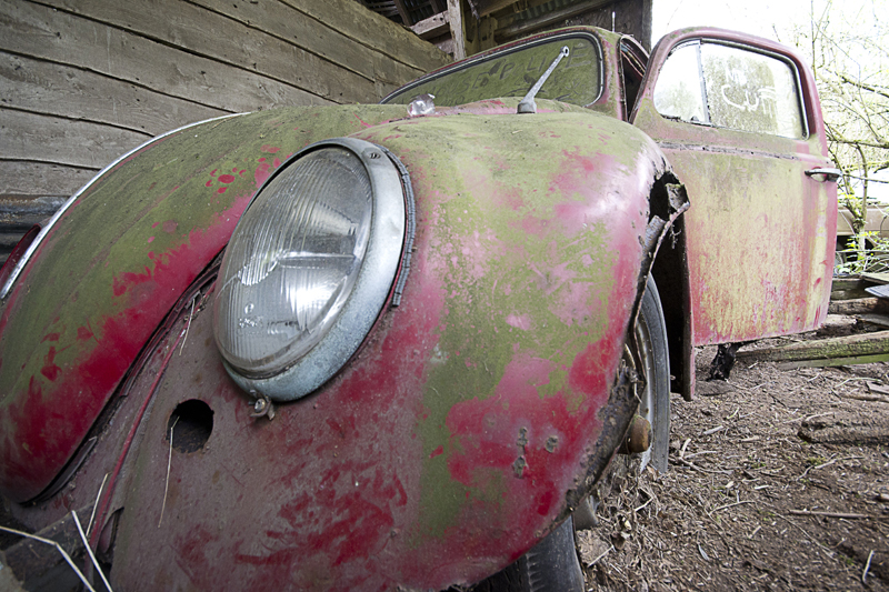 A Beetle.