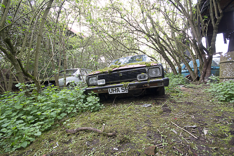 More cars.