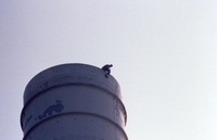 Feb-89-004.jpg